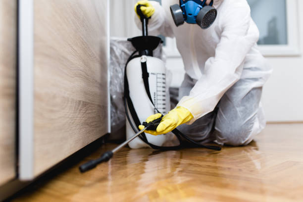 Best Commercial Pest Control Services  in Salina, OK