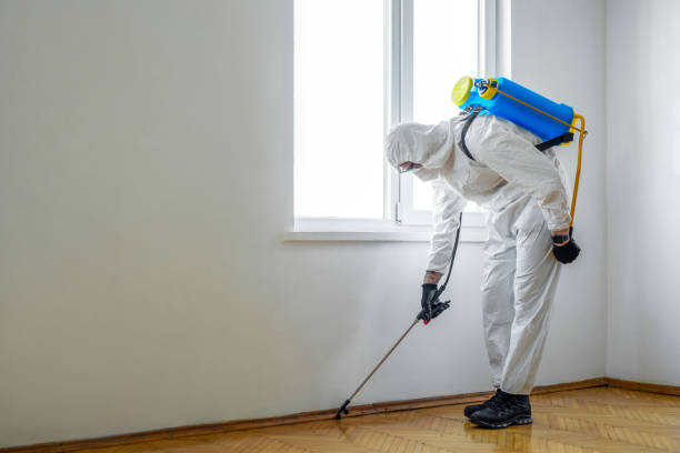 Trusted Salina, OK Pest Control Experts