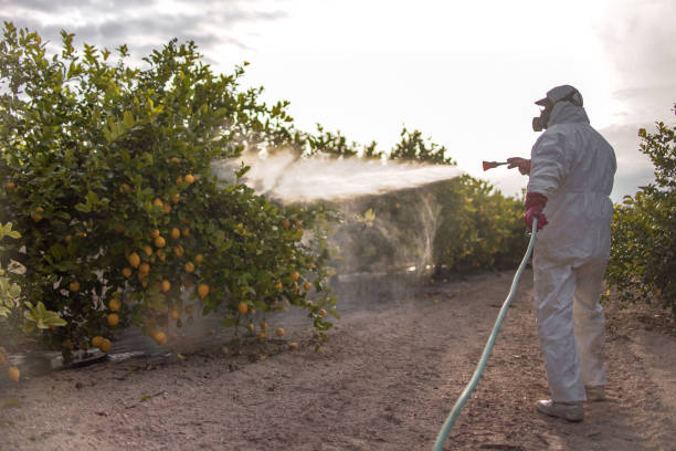  Salina, OK Pest Control Pros