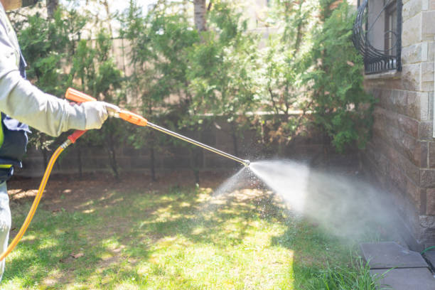 Best Mosquito Control Services  in Salina, OK