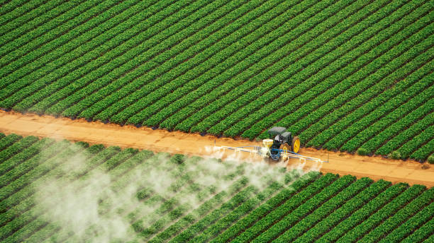 Pest Control Cost in Salina, OK