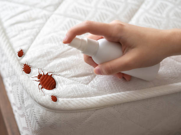 Best Pest Removal Services  in Salina, OK